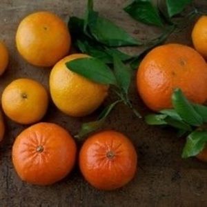 Meet your Posher, Patti